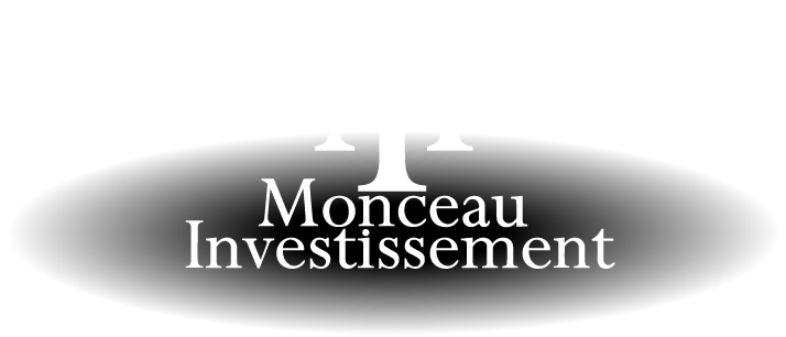 MONCEAU INVESTISSEMENT